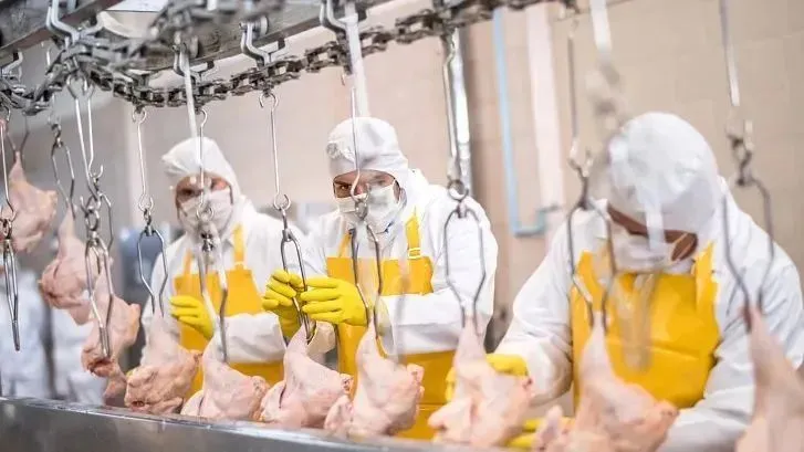 Packaging Line
